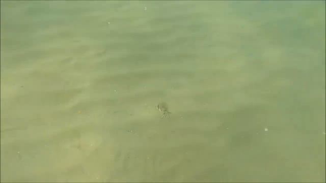 Витязево - Анапа, июнь 2014, обзор достопримечательностей смотреть онлайн