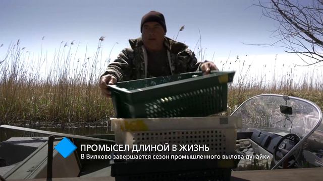 Промысел длиной в жизнь: в Вилково завершается сезон промышленного вылова дунайки смотреть онлайн