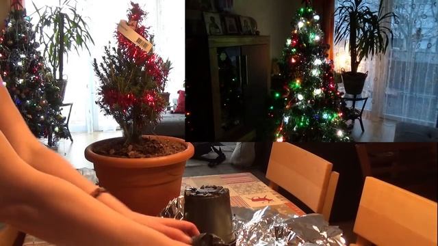 Психология и Развитие