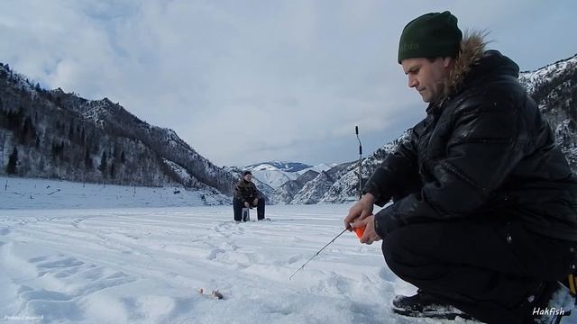 24.02.2018г. Саяно-Шушенское водохранилище. В поисках хищника. смотреть онлайн