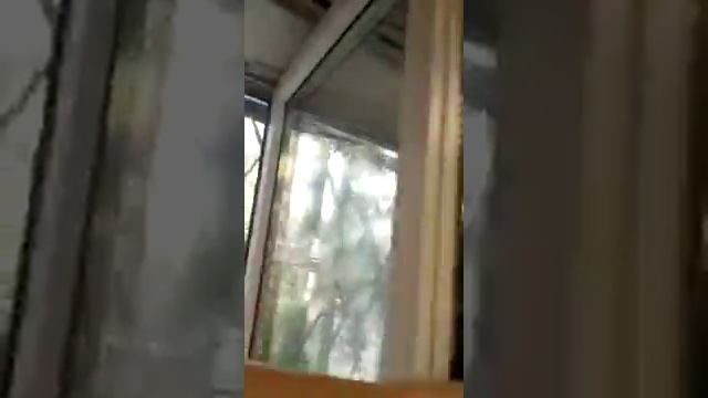 Шпингалет на окнах ПВХ смотреть онлайн