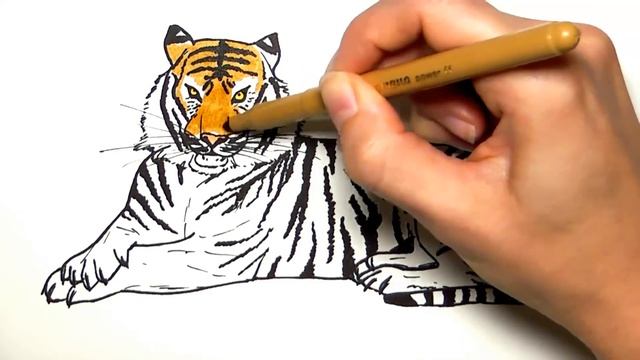 Drawing and Coloring a Tiger - How to Draw Wild Animals Color Pages for Children смотреть онлайн