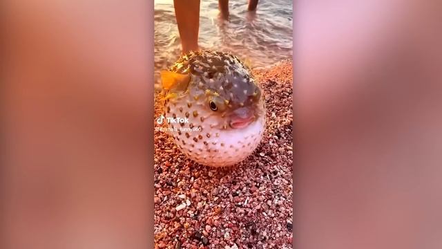 This Is Horrible... смотреть онлайн