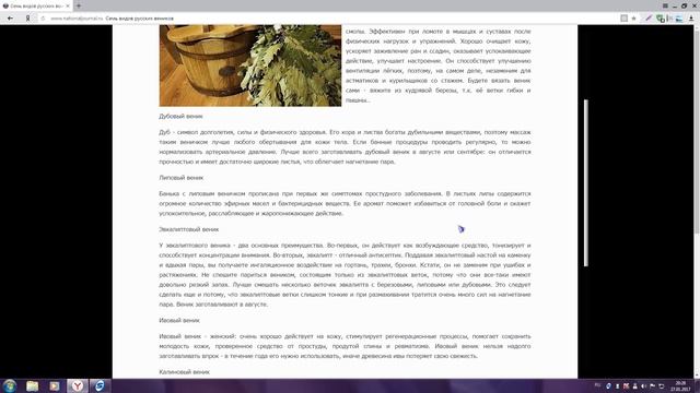 Семь видов русских веников