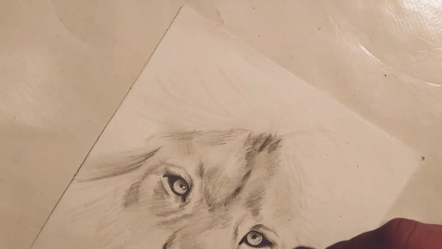 Как нарисовать Льва с карандашом смотреть онлайн