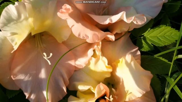 Англійська балада "Король Лір і його дочки" смотреть онлайн