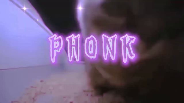 чипи чипи чапа чапа PHONK версия смотреть онлайн