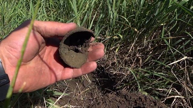 Копать или не копать жара, высокая трава и комары смотреть онлайн