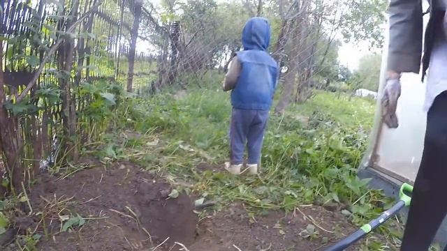 Сажаем ЛИСИЧКИ! смотреть онлайн