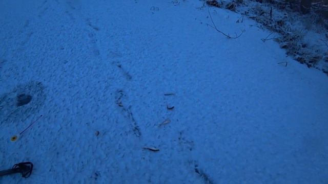 Рыбалка морозным днём. Клюёт в каждой лунке, но мелочь. смотреть онлайн