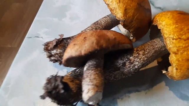 Вся В Делах ? Ждите Меня Красотку????? смотреть онлайн