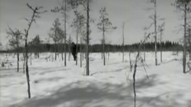CATAMENIA - Location Cold смотреть онлайн