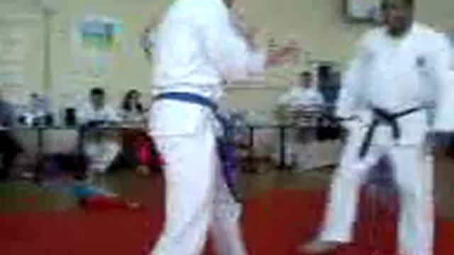 АARZOLA KARATE Андрес Арзола vs Владислав Соловей показательные выступления смотреть онлайн