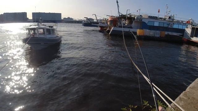 #streetfishing | Невский окунь |