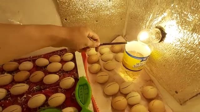 Инкубатор жасау казакша ? ? ?Қазақ көрсін смотреть онлайн