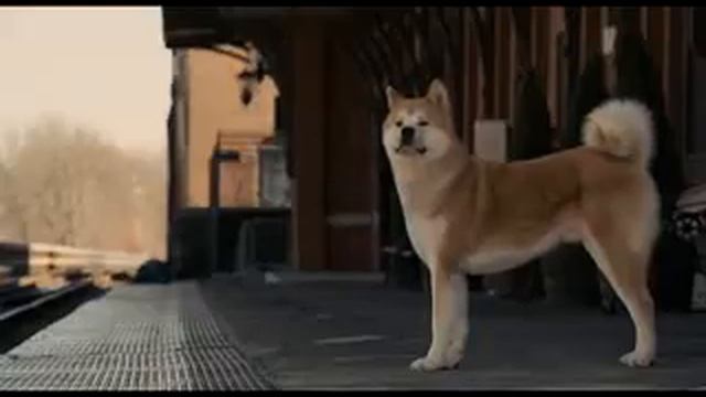tak trogatel'no....flv смотреть онлайн