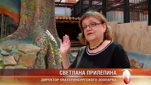 Октябрьский район Екатеринбурга/Подарки ко Дню города смотреть онлайн