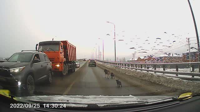 Семейка смотреть онлайн