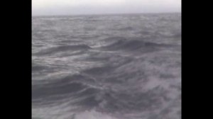 Подводная охота с Александром Кочубеем. На Курильские острова с Виктором Дороганичем