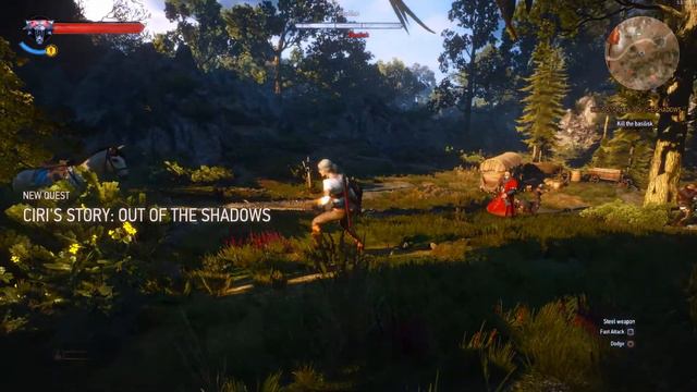 The Witcher 3: Wild Hunt - Part 66 -- Family Matters Part 5 (Ciri: Out of the Shadows) смотреть онлайн