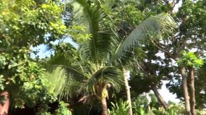 Avila Resort Паттайя