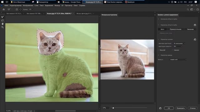 How to mix animals in photoshop смотреть онлайн