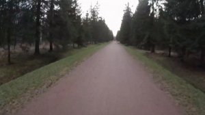 МОНОКОЛЕСО Ninebot Z10. Первые впечатления после Inmotion V8.