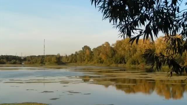 Москва Косино Песняры.wmv смотреть онлайн