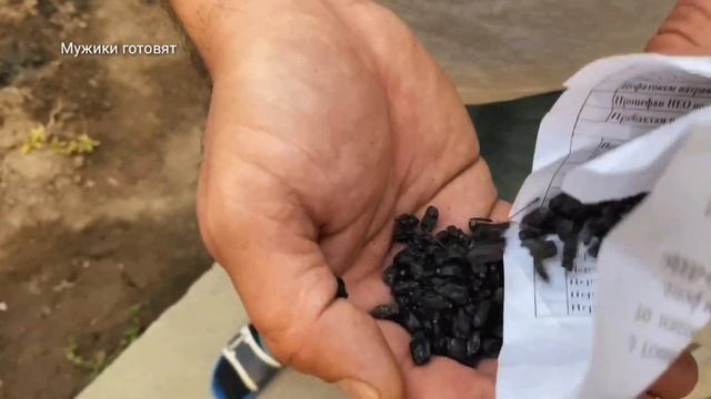 Плов.Видео от друга. ПРИСЫЛАЙТЕ ВИДЕО по телеграмму @MujikiGotovyat и подписчики оценят вас!!! смотреть онлайн