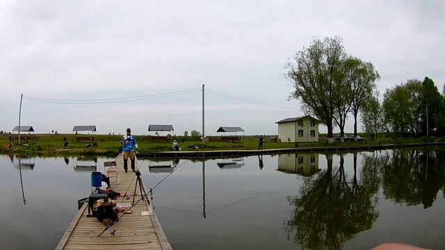 Уроки ловли форели на платнике. Как поймать форель новичку. Ловля форели на платнике Парус юг. смотреть онлайн