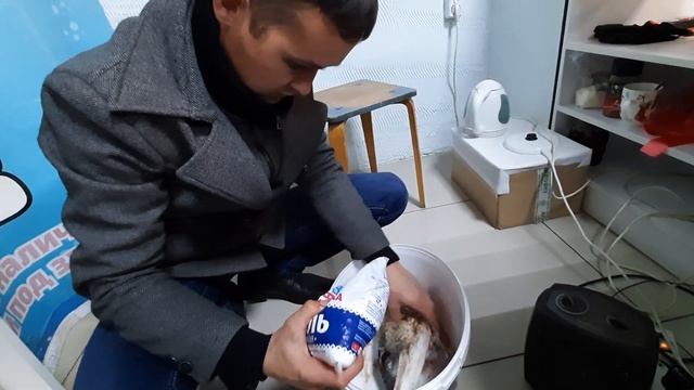 Трофейная Щука 18.3 кг. , делаем чучело на память ! смотреть онлайн