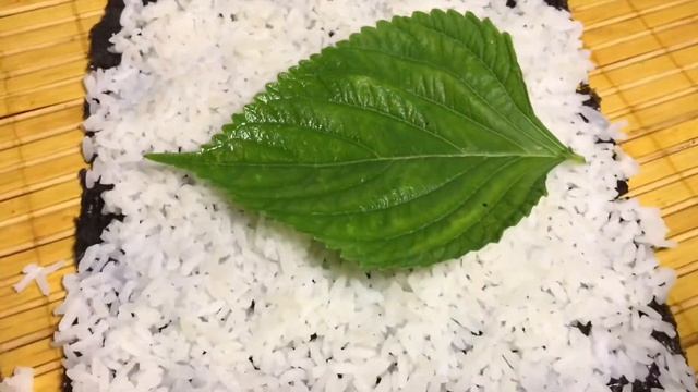 Руководство к Лучшему