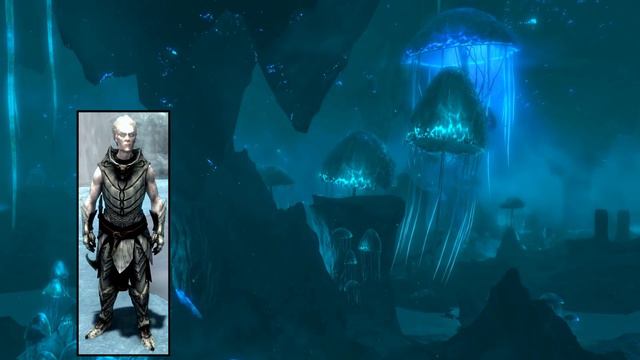 Skyrim - Who are the Falmer? смотреть онлайн