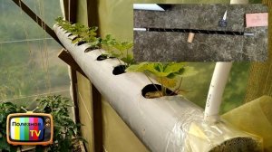 ГРЯДКА ДЛЯ КЛУБНИКИ ИЗ ТРУБЫ БОЛЬШОЙ И ЧИСТЫЙ УРОЖАЙ КРУГЛЫЙ ГОД