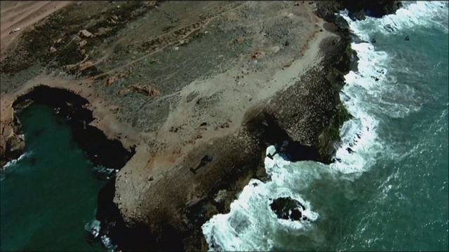 Rachid Taha - Barra Barra