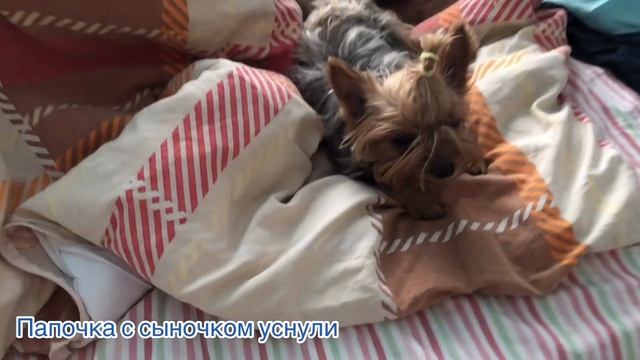 Первые дни дома с малышом ???? смотреть онлайн