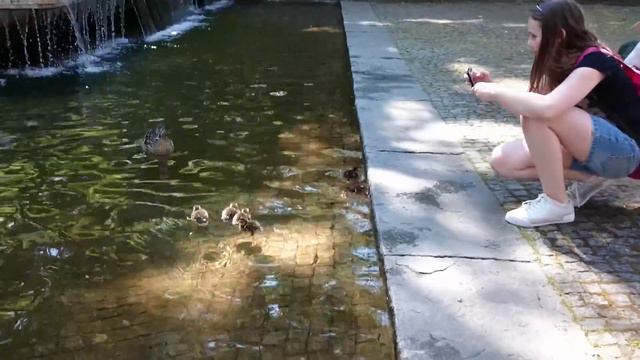 Мама утка и утята смотреть онлайн