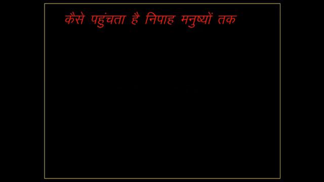current affair : nipah virus । क्या है निपाह वायरस | Nipah Virus effect | Compition exam question смотреть онлайн