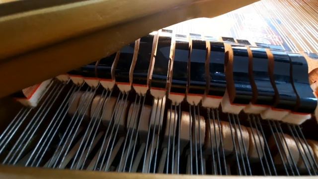 Онлайн-лекция «Его величество - Рояль» смотреть онлайн