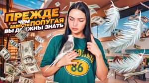 ПРЕЖДЕ ЧЕМ ЗАВЕСТИ ПОПУГАЯ, ВЫ ДОЛЖНЫ ЗНАТЬ