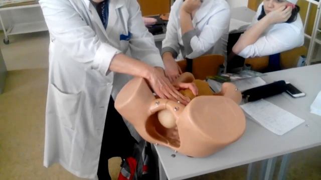 Приёмы Леопольда смотреть онлайн