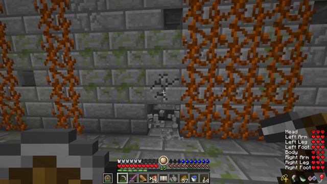 A Kiwi That Can Actually FLY?! | Dregora RLCraft 2.9.2 - Ep 7 смотреть онлайн