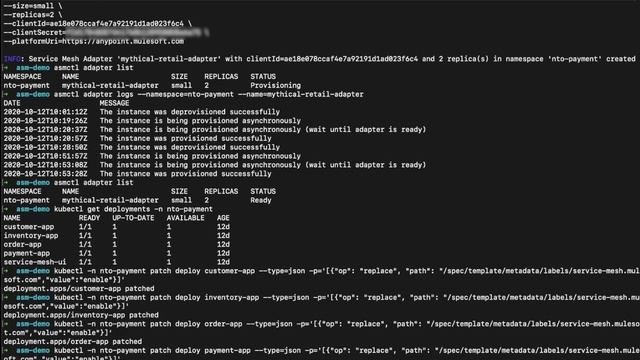 Anypoint Service Mesh: Install and Configure Demonstration | Friends of Max смотреть онлайн