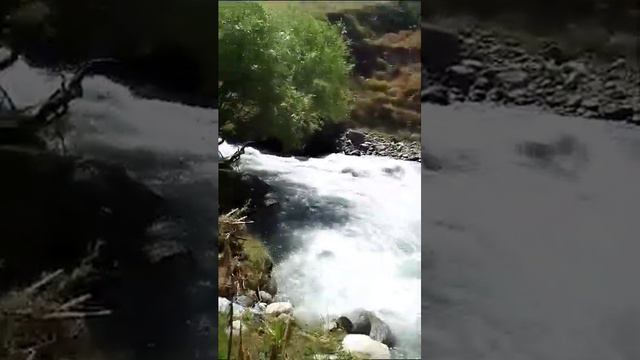 самая красивая речка у нас кто знает смотреть онлайн