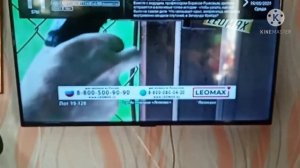 Решение проблемы отключения телевизора СМАРТ ТВ HOLLEBERG.