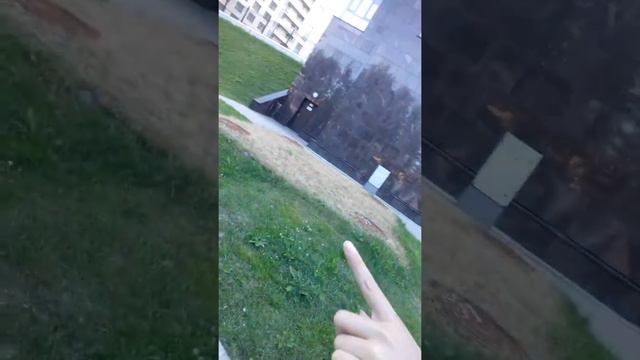 Влог.VLOG #1.Гуляем. Песни Егора Крида и Тимати смотреть онлайн