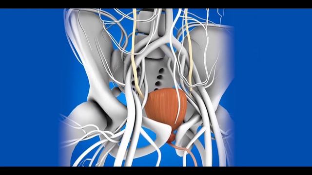 Почему дети писаются ночью? | ПОЛЕЗНЫЙ ЮТУБ