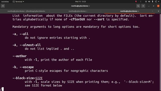LINUX FILE SYSTEM смотреть онлайн