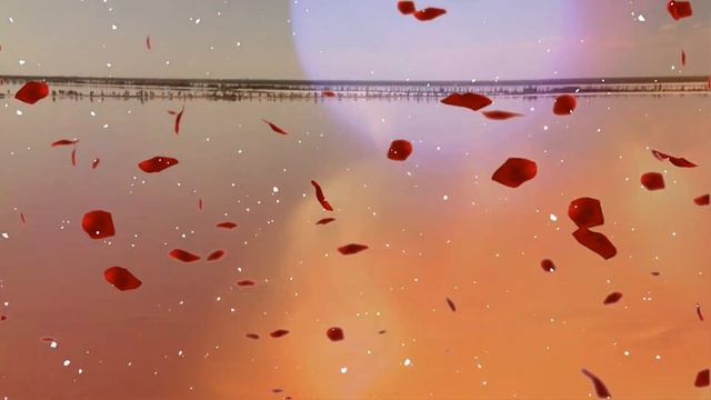 РОЗОВОЕ ГЕНИЧЕСКОЕ ОЗЕРО НА АРАБАТСКОЙ СТРЕЛКЕ (Pink lake in Ukraine) смотреть онлайн