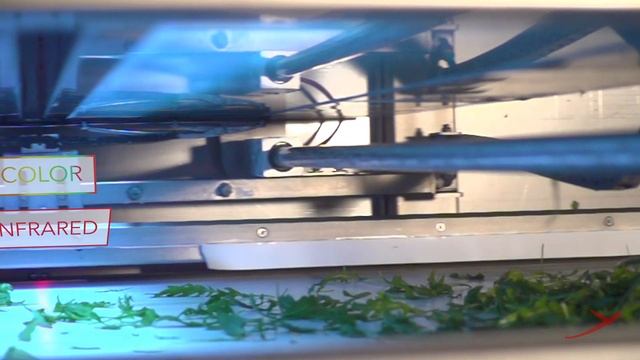 CFT Group presents Raytec's full range of innovative sorting solutions! Discover SPRAY! смотреть онлайн